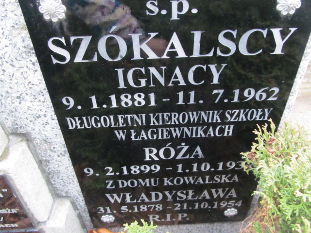 Franciszka Grobelna 1872 Kobylin - Grobonet - Wyszukiwarka osób pochowanych